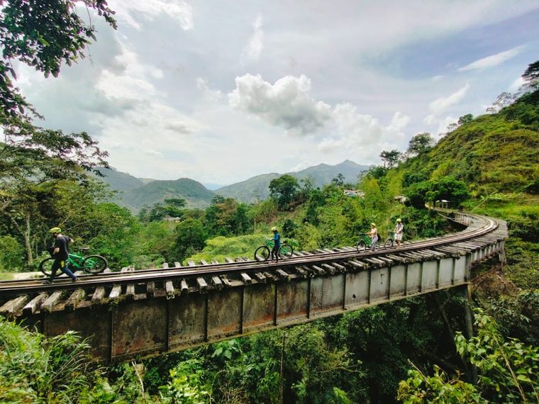 Trail & Mountain Biking